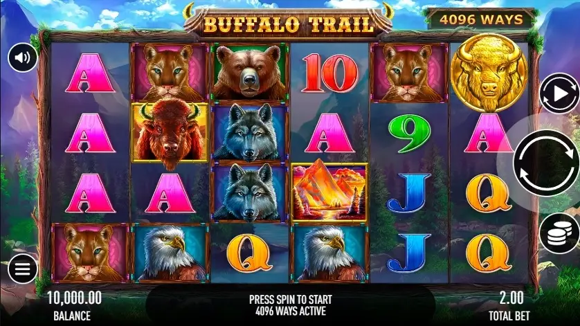 Buffalo Trail